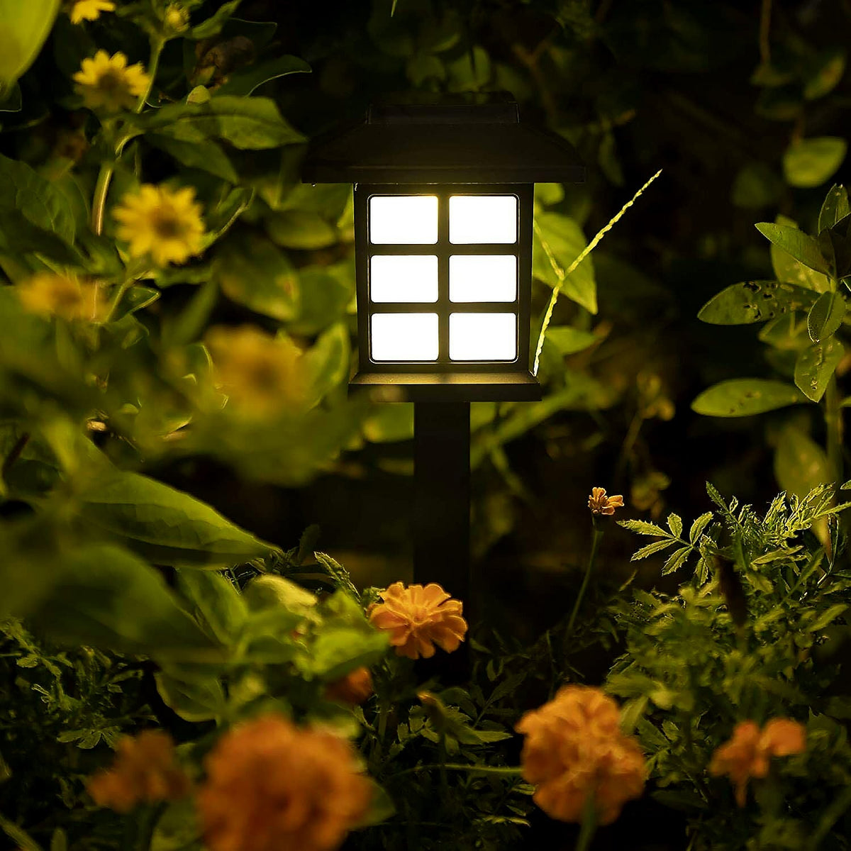 Solar Garden Lights – Waterproof Outdoor Landscape (2-Pack)