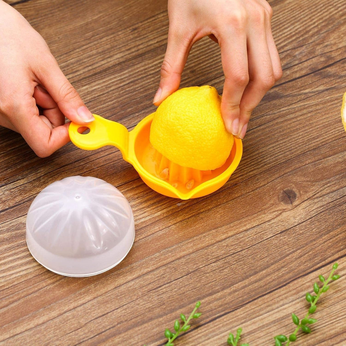Hand-Operated Citrus Juicer – Compact, Easy to Use & Mess-Free