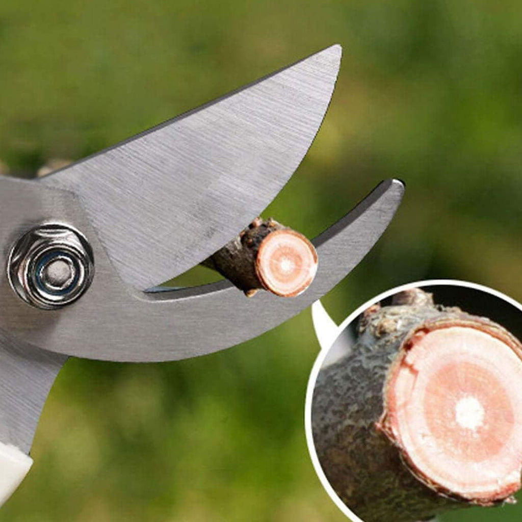 Garden Scissors – Soft Grip Stainless Steel Pruner | Grow Garden Tools